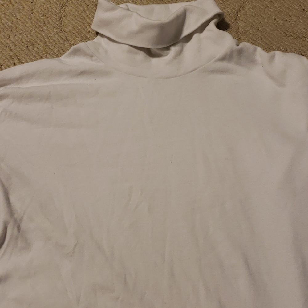 Uniqlo Turtleneck long sleeve